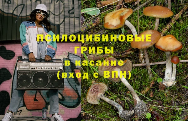 молекула духа Балахна
