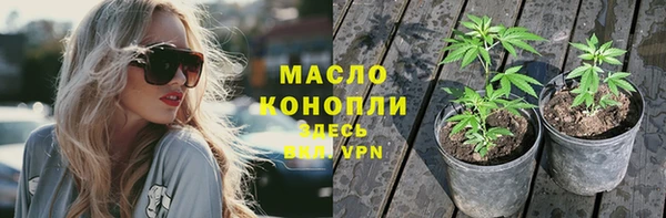 молекула духа Балахна