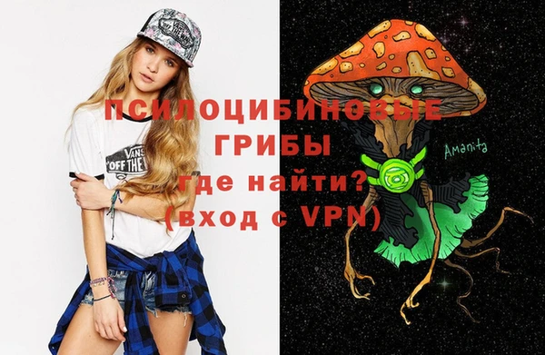 молекула духа Балахна