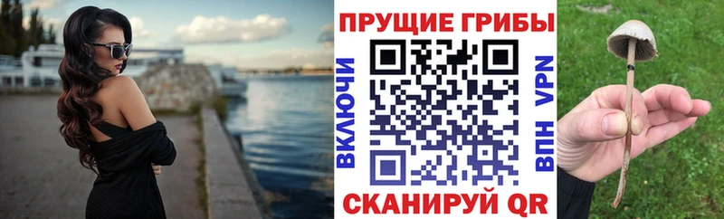 Псилоцибиновые грибы GOLDEN TEACHER  кракен рабочий сайт  Фролово 